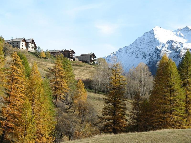 Auberge L'Estoilies Saint-Vérand Екстериор снимка